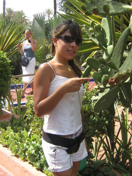 dounia